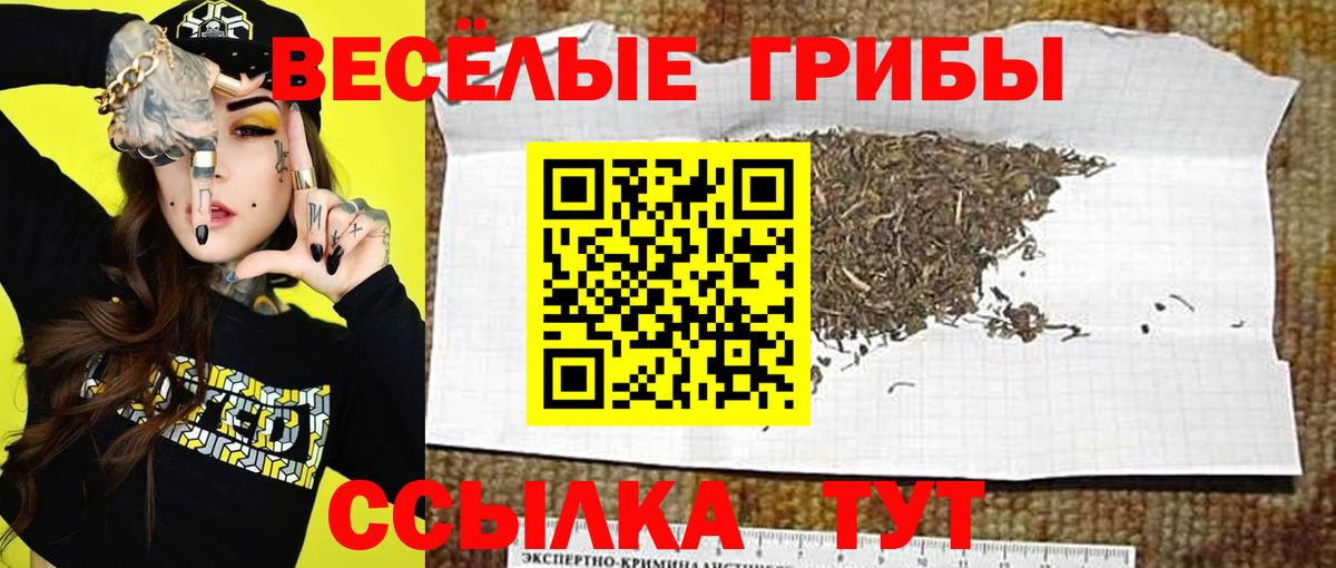 Галлюциногенные грибы мицелий Троицк